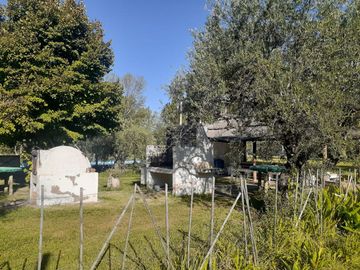 SE VENDE FINCA DE OLIVOS EN MAIPÚ, PROVINCIA DE MENDOZA