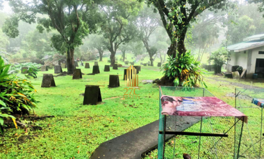 Prime Agricultural/Farm Land for Sale in San Jose Del Monte, Bulacan