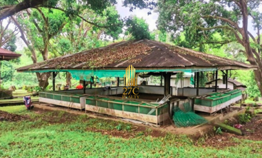 Prime Agricultural/Farm Land for Sale in San Jose Del Monte, Bulacan