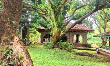 Prime Agricultural/Farm Land for Sale in San Jose Del Monte, Bulacan