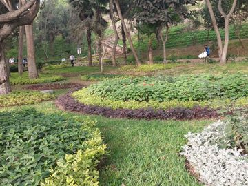 Hermosa Casa En Santiago De Surco - Parque Ecológico Loma Amarilla