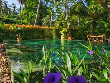 For Sale Resort + cafe Surat Thani