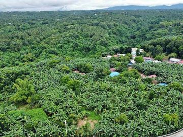 FOR SALE! 40 hectares or 400,000 sqm Farm Lot at Balete, Batangas