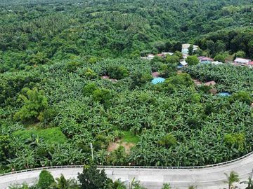 FOR SALE! 40 hectares or 400,000 sqm Farm Lot at Balete, Batangas