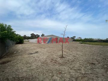 Venta De Terreno Agricola Km 87.5 Pan.Sur 1921M2 Bujama