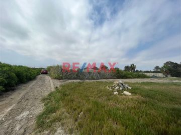 Venta De Terreno Agricola Km 87.5 Pan.Sur 1921M2 Bujama