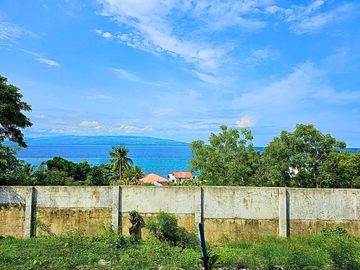 SIBULAN OVERLOOKING HOUSE FOR SALE
