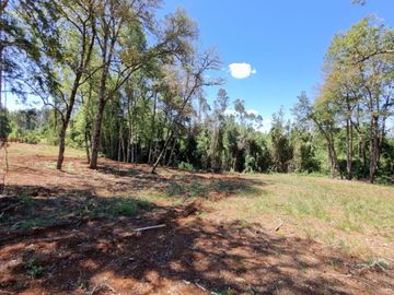 Loteo Sector Chancoyan Alto