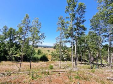 Loteo Sector Chancoyan Alto