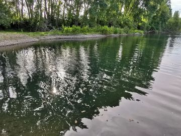 Parcelas Orilla Río Fundo Los Arces Antilhue