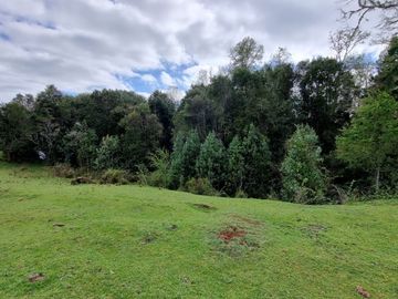 Loteo Sector Chancoyan Alto