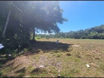 Lot for Sale in San Jose Catadman, Poblacion Carmen Cebu
