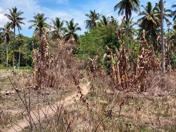 Lot for Sale in Canseja Flores Poblacion, Catmon Cebu