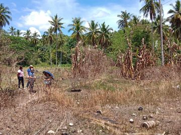 Lot for Sale in Canseja Flores Poblacion, Catmon Cebu