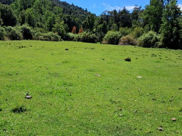 CAMPO AGRÍCOLA GANADERO EN LA COMUNA DE FUTRONO