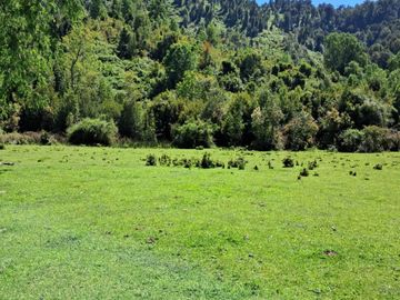 CAMPO AGRÍCOLA GANADERO EN LA COMUNA DE FUTRONO