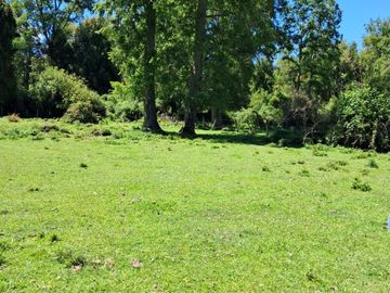CAMPO AGRÍCOLA GANADERO EN LA COMUNA DE FUTRONO