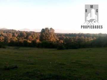 CAMPO AGRÍCOLA GANADERO EN LA COMUNA DE FUTRONO