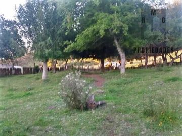 CAMPO AGRÍCOLA GANADERO EN LA COMUNA DE FUTRONO