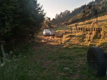 CAMPO AGRÍCOLA GANADERO EN LA COMUNA DE FUTRONO