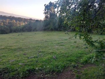 CAMPO AGRÍCOLA GANADERO EN LA COMUNA DE FUTRONO