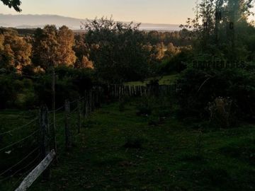 CAMPO AGRÍCOLA GANADERO EN LA COMUNA DE FUTRONO