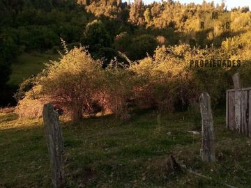 CAMPO AGRÍCOLA GANADERO EN LA COMUNA DE FUTRONO