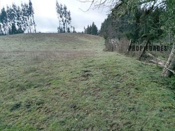 TERRENO DE 5.5 HECTÁREAS CERCANO A LA UNION