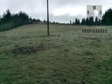 TERRENO DE 5.5 HECTÁREAS CERCANO A LA UNION