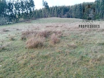 TERRENO DE 5.5 HECTÁREAS CERCANO A LA UNION