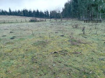 TERRENO DE 5.5 HECTÁREAS CERCANO A LA UNION