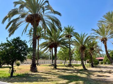 Propiedad campestre en Las Granjas San Pedro Sonora con casa