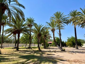 Propiedad campestre en Las Granjas San Pedro Sonora con casa
