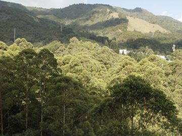 VENDO APARTAMENTO COLA DEL ZORRO MEDELLIN EL POBLADO, 378 MTS