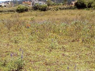 Terreno de venta en Otavalo sector Araque, 6393 m2