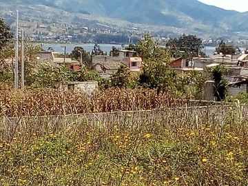 Terreno de venta en Otavalo sector Araque, 6393 m2