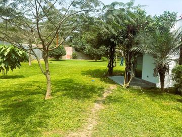 Vendo linda casa en av. Reusche, Pachacamac