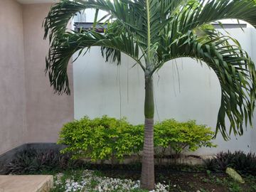 SE VENDE CASA EN REAL MONTEJO, MÉRIDA. CASA CON 3 RECAMARAS COMPLETAS, PISCINA Y PANELES SOLARES.