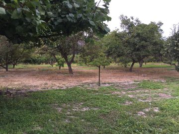 SE VENDE PARCELA 5000,TALAGANTE
