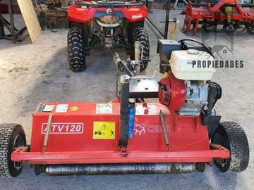 CAMPO AUTOSUSTENTABLE CON PLANTACIÓN DE AVELLANO EUROPEO