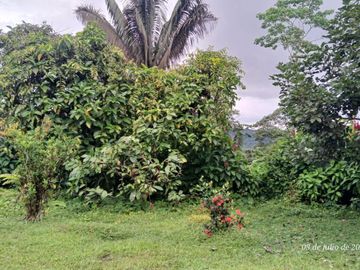 Espectacular Finca de Venta 81 Has