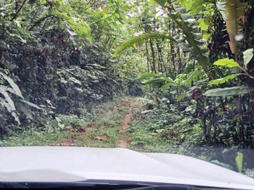 Espectacular Finca de Venta 81 Has