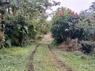 Espectacular Finca de Venta 81 Has