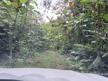 Espectacular Finca de Venta 81 Has