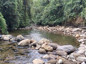 Espectacular Finca de Venta 81 Has