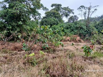 Espectacular Finca de Venta 81 Has