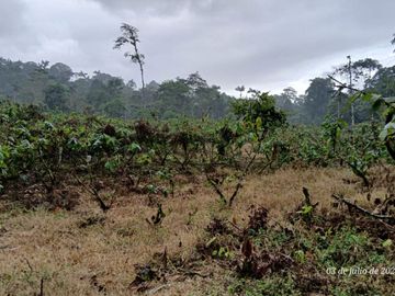 Espectacular Finca de Venta 81 Has