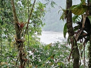 Espectacular Finca de Venta 81 Has
