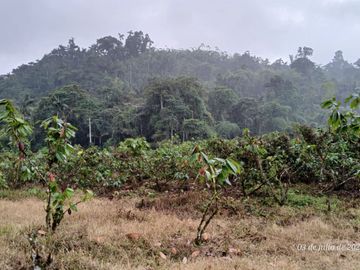Espectacular Finca de Venta 81 Has