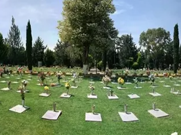 Vendo o Cambio Perpetuidad En Jardines Del Recuerdo
